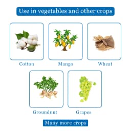 EBS Metman Fungicide - Metalaxyl 8% + Mancozeb 64% WP 4