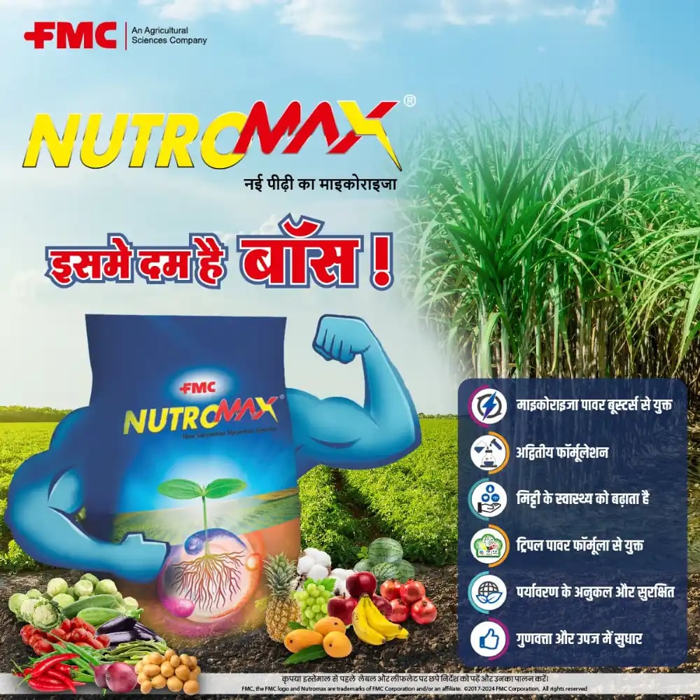 FMC Nutromax Vesicular Arbuscular Mycorrhiza (VAM) 25% GR Biofertilizer, Improve Soil Health And Root Activity