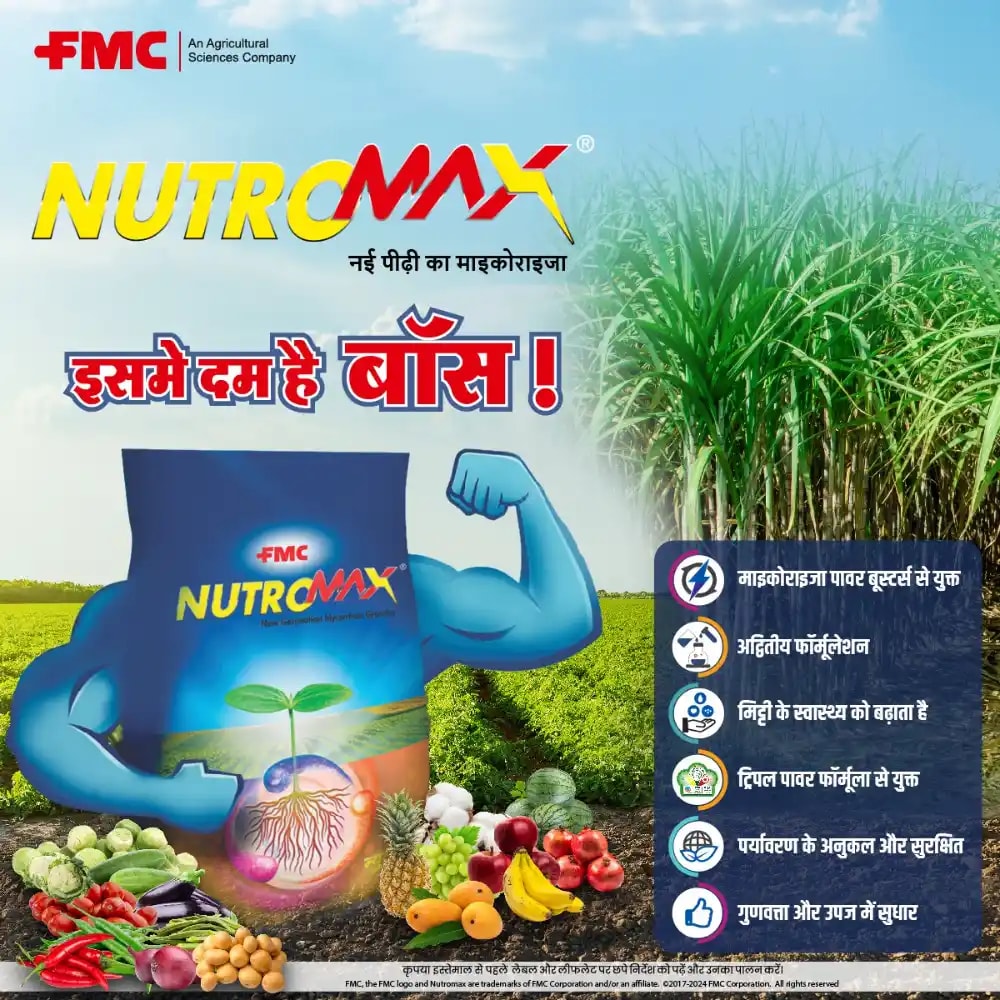 FMC Nutromax Vesicular Arbuscular Mycorrhiza (VAM) 25% GR Biofertilizer, Improve Soil Health And Root Activity