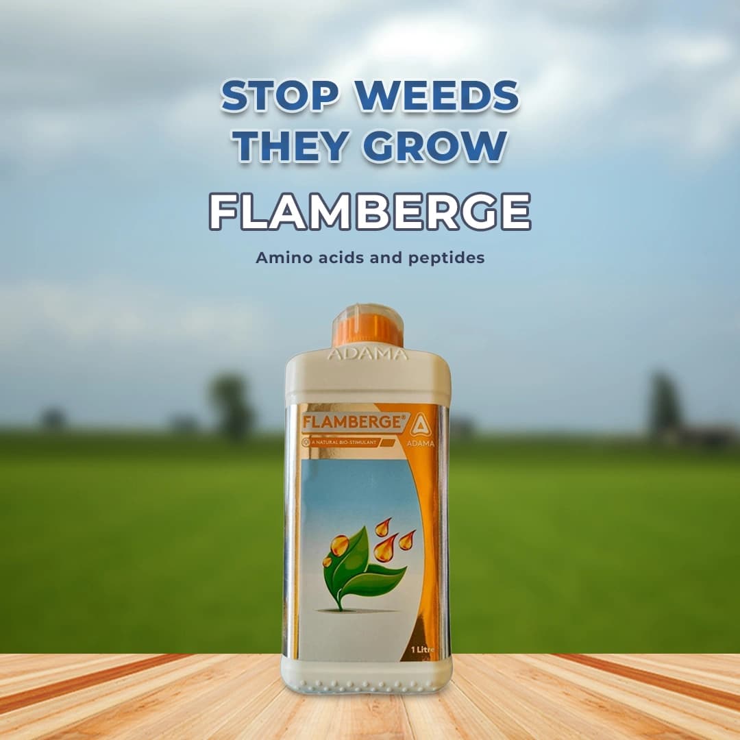 Adama Flamberge Natural Bio-Stimulant, Natural Proteins Into Peptides And Amino Acids In Crops - Image 2