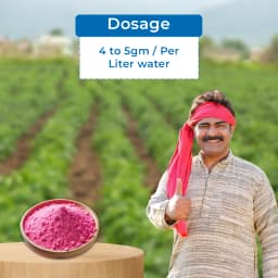 जीएसीआईएल प्लस कम्पलीट एनपीके 19:19:19 खाद - हरे सब्जियों, रसदार फलों और शानदार फूलों के लिए। 5