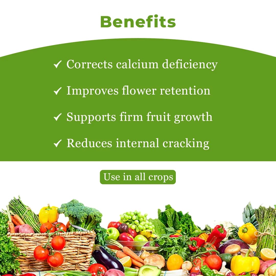 Nutrixon Cal-SL Fertilizer - Calcium + Boron + Amino acid - Image 4