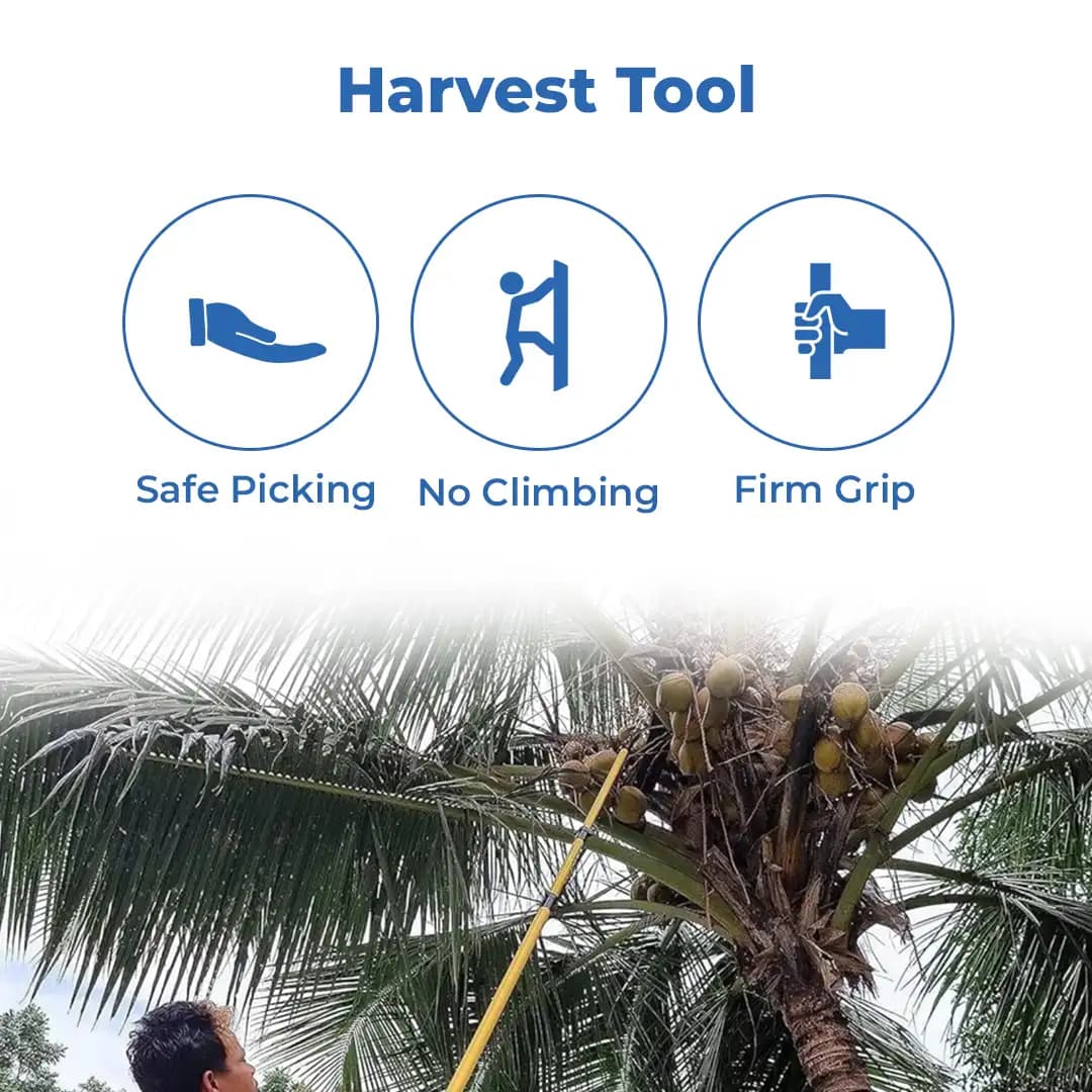 Bharat Agro Coconut Plucker With 2 Blades - Image 3