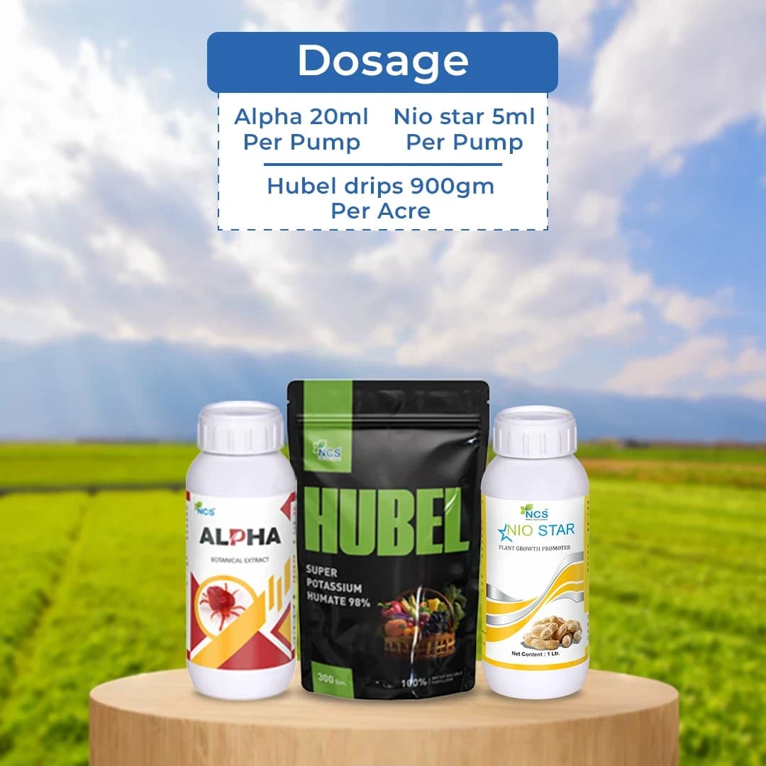 Chilli Virus Special For Pre-Treatment (Set of Alpha 250 ML + Nio Star 100 ML + Hubel 900 GM) Best Effect On Chilli Virus - Image 6