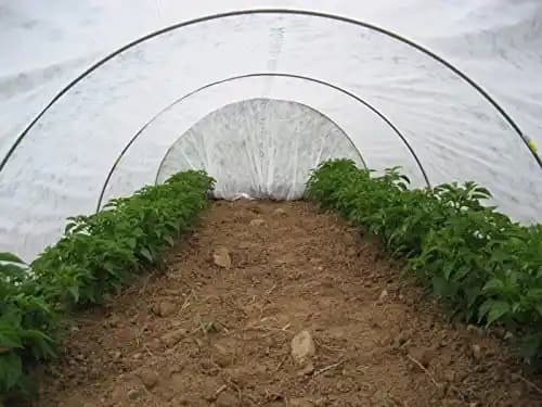 Siddhi Vinayak 6 Ft X 5 MM Crop Cover Plastic Wire, Fiber Plastic, Fencing Wire For Crop Cover. - Image 5