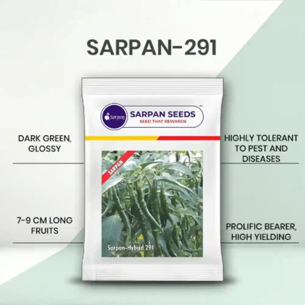 Sarpan F1 Hybrid Chilli Seeds, Chilli-291 Dark Green, Highly Tolerant to Leaf Curl and Sucking Pest, Suitable for Dual Purpose Fresh Green and Dry Red