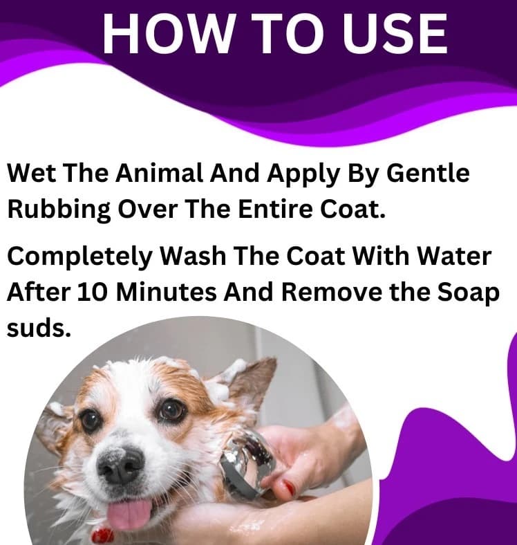 PASHU SVASTH KIT FRESH SOAP, Ayurvedic Pet Detergent And Natural Pest Repellent For Cattle And Happy Pets (75 Gm) - Image 3