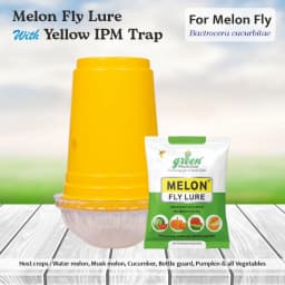 Green Revolution Yellow IPM Trap With Melon Fly Lure, Effective For Fly Control In Vegetable 2