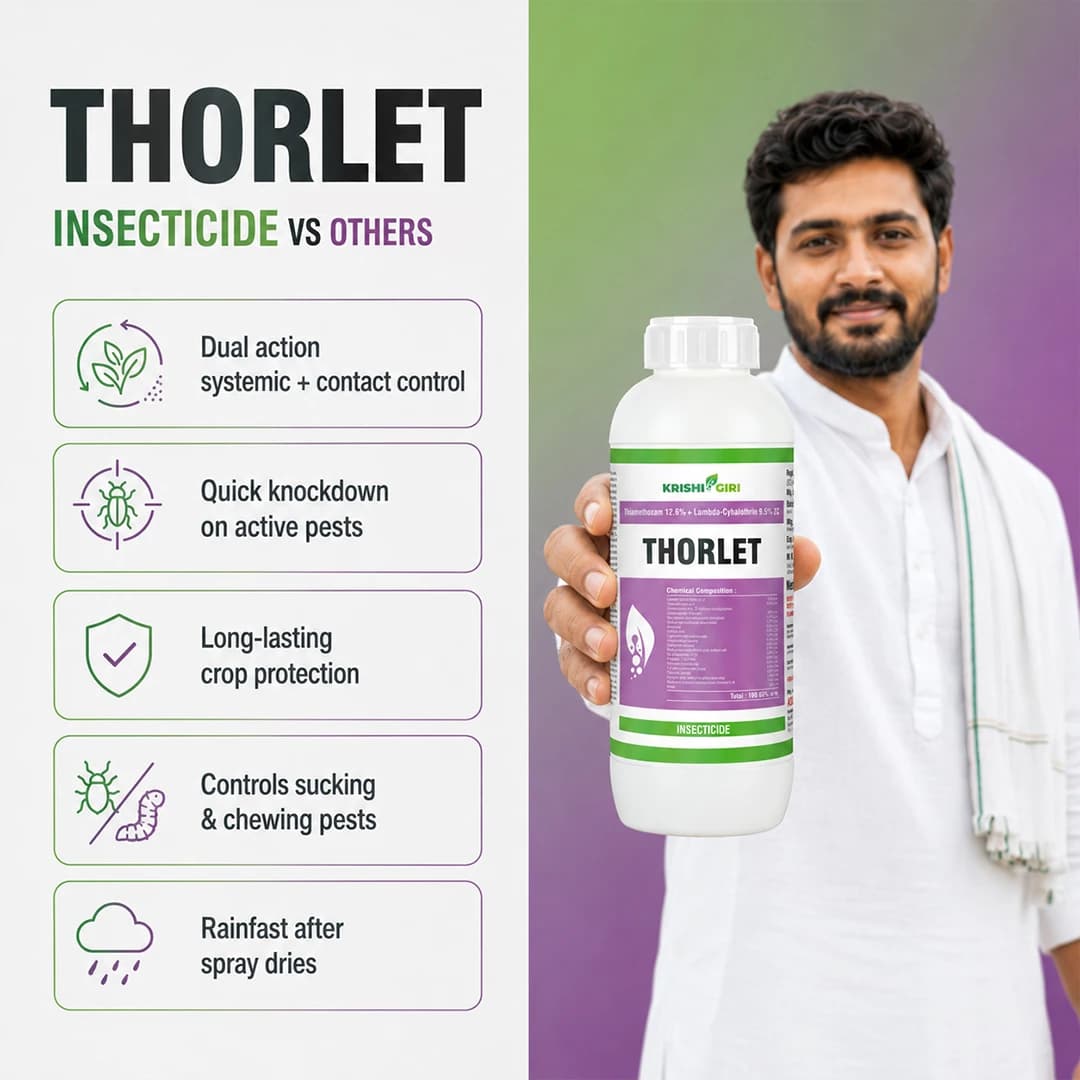 Thorlet Insecticide - Thiamethoxam 12.6% + Lambda Cyhalothrin 9.5% Zc - Image 3