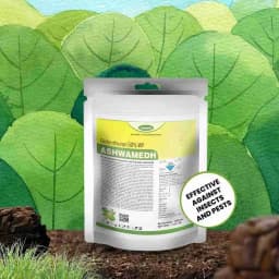 Katyayani Ashwamedh Diafenthiuron 50% WP New Generation Pro Insecticide For Plants and Garden - Broad Spectrum Powerful Control for All Sucking Pest 2