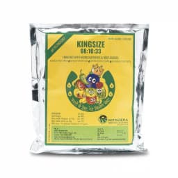 Biowall Kingsize NPK 08:10:33 Water Soluble Fertilizer, Enriched With Micronutrients & Anti Fruit Drop 3
