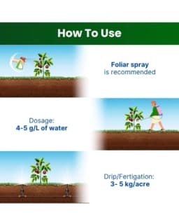 Katyayani Npk 12:61:00 Fertilizer, High-Performance Nutrient Solution For Enhanced Plant Growth and Development 4