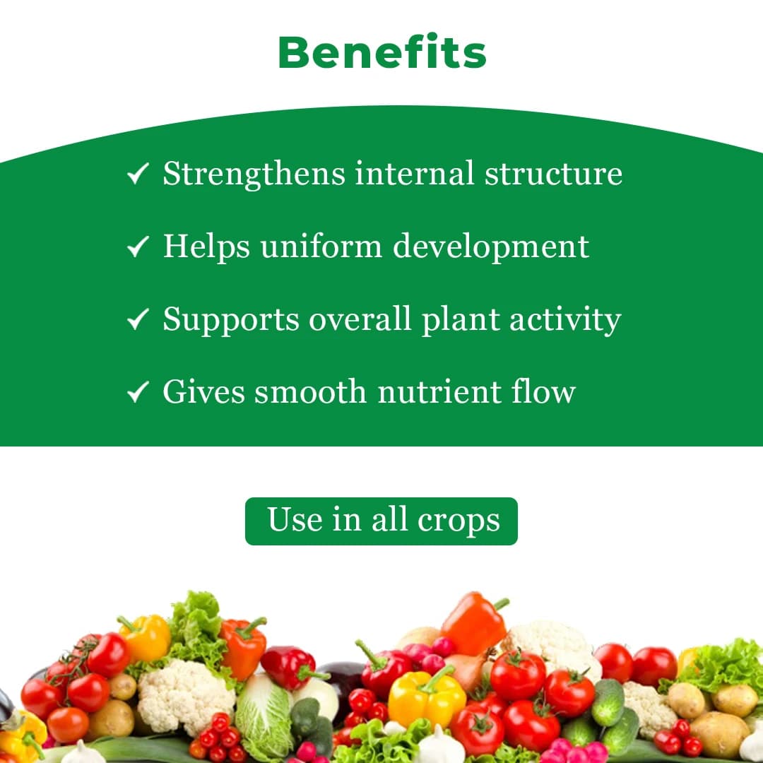 EBS NPK 13:40:13 Fertilizer - 100% Water Soluble - Image 4