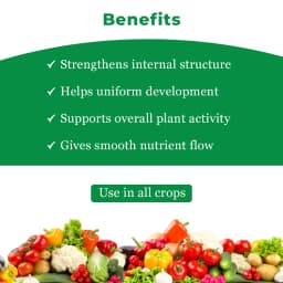 ईबीएस एनपीके 13:40:13 पानी में घुलनशील उर्वरक, तेजी से और स्वस्थ विकास को बढ़ावा देता है, फसल की उपज और गुणवत्ता बढ़ाता है 4