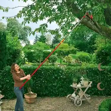 Wolf Garten Vario Handle (ZM-V3) Multi Change Telescopic Handle Extends From 170-300 Cm, Garden Tool