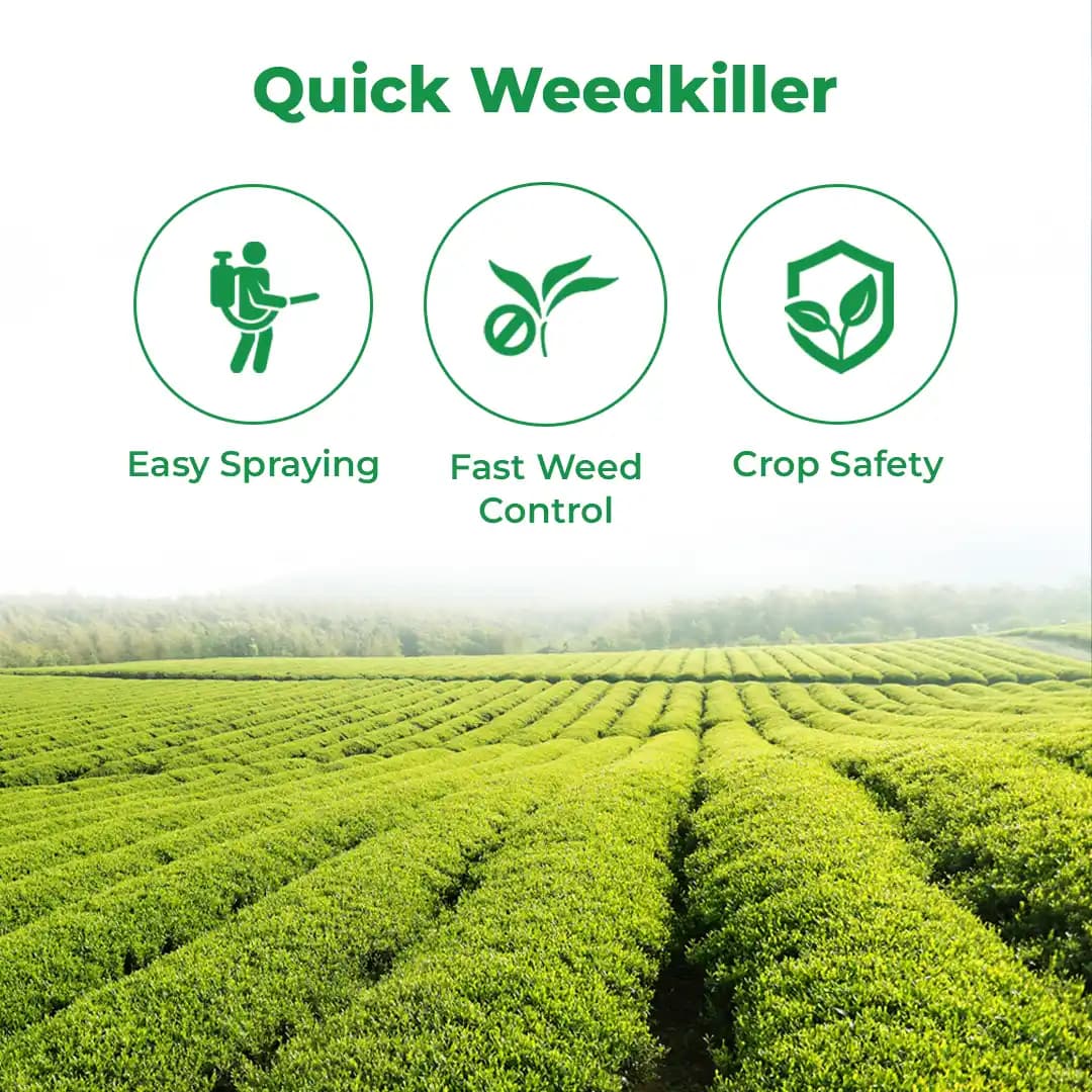 Adama Paranex Herbicide - Image 3