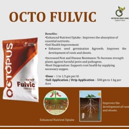 Octopus Octo Fulvic Potassium Fulvate 80% Fertilizer, Effective For Soil Health And Plant Growth 2