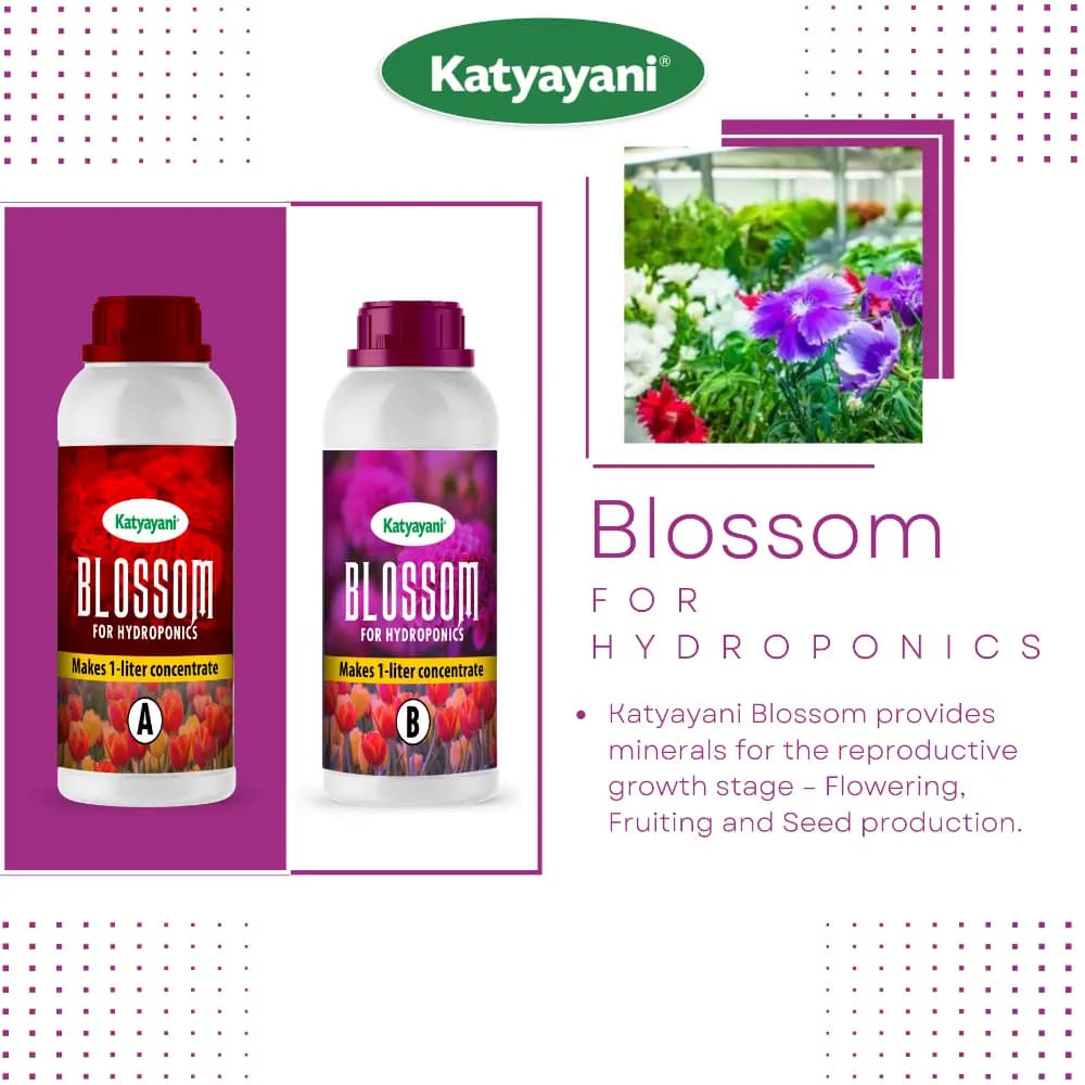 Katyayani BLOSSOM Hydroponic Nutrients For Tomatoes And Veggies, Across Different Growth Stages (A + B) - Image 2