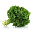Urja Cress Curled Parsley Seeds, Bright Green Leaves Are Finely Divided And Curled, Cold Weather Crop - Image 1