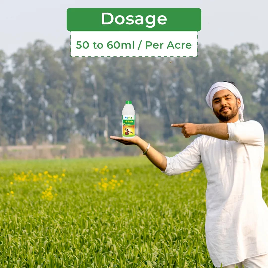 JU Thiola Thiamethoxam 12.6% + Lambda Cyhalothrin 9.5% ZC Insecticide, Effective For Sucking Pests And Caterpillars Pest Control In Crop - Image 5