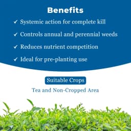 Agriventure Glypho ( Glyphosate 41% Sl ) Non Selective Herbicide, Control Of A Wide Range Of Weeds 4