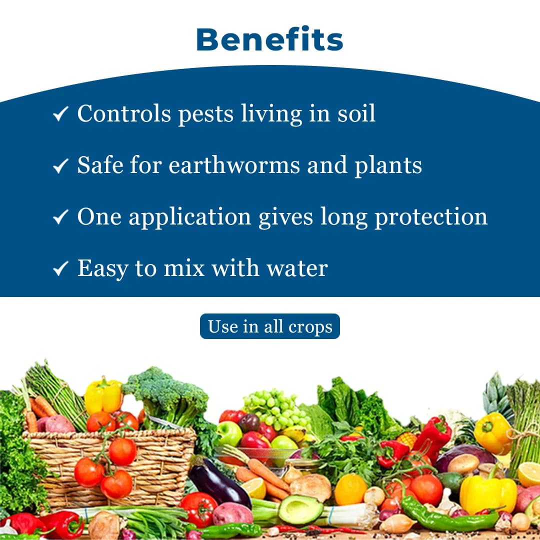 EBS Metarhizium Anisopliae Bio Pesticide, Control Root Weevils, Plant Hoppers, Japanese Beetle, Black Vine Weevil On All Type Of Crops - Image 5