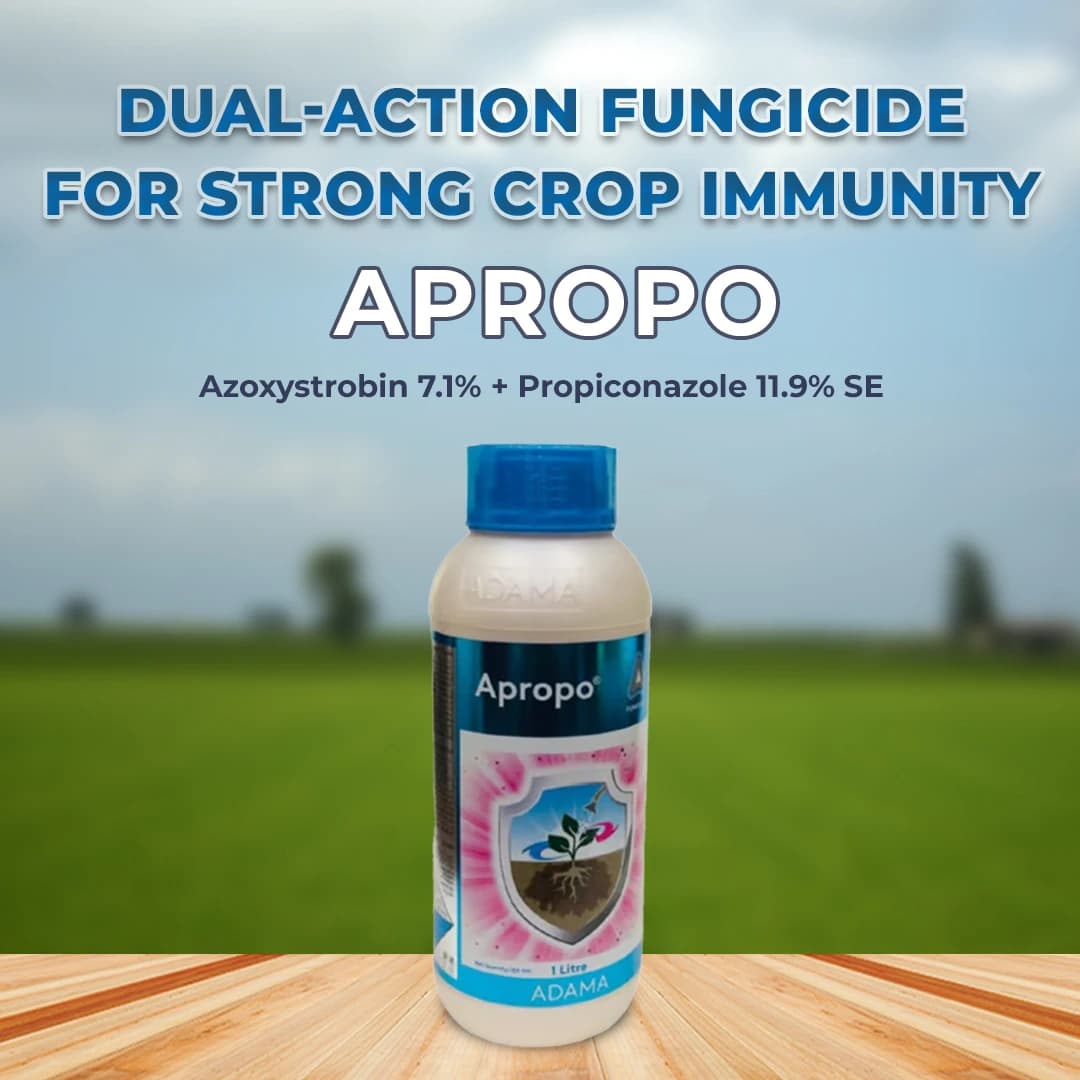 Adama Apropo Azoxystrobin 7.1% + Propiconazole 11.9% SE, Is a Broad-Spectrum Systemic Fungicide - Image 2