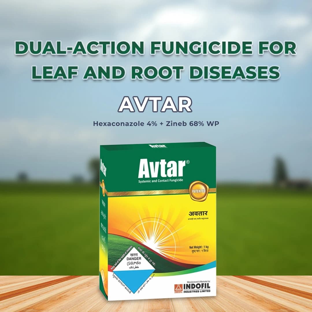 Indofil Avtar Fungicide - Image 2
