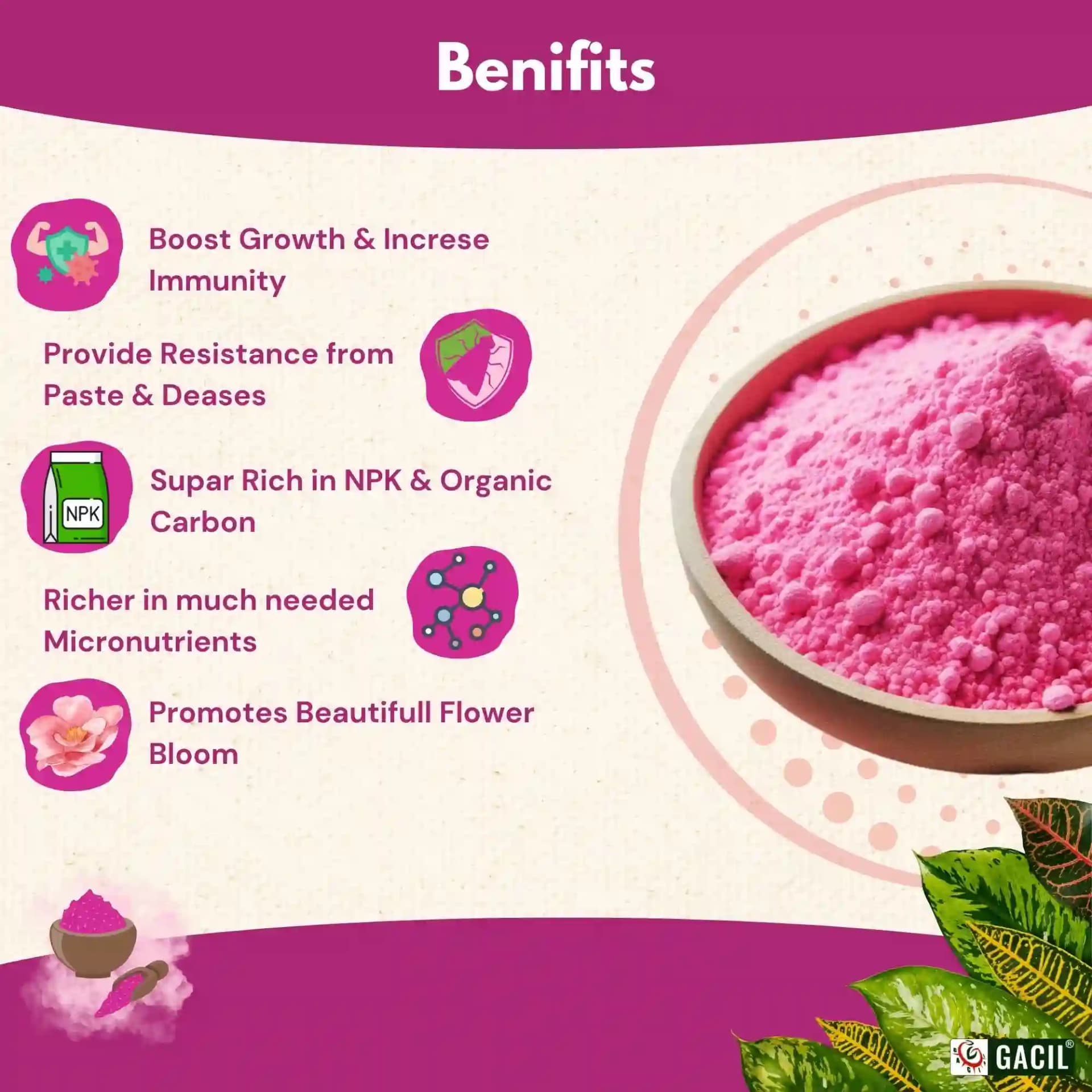 Gacil NPK 19:19:19 Fertilizer - Image 8