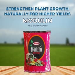 T.stanes Modulin Foliar Bio Stimulant, Organic Mineral Activators, Promote Plant Metabolic Activities for An Increase Number of Flowers and Growth 2