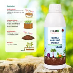 HEDO Potassium Mobilizing Bacteria (KMB) Liquid Bio Fertilizer, To Increase The Fruit Quality & Growth Of The Crops 4