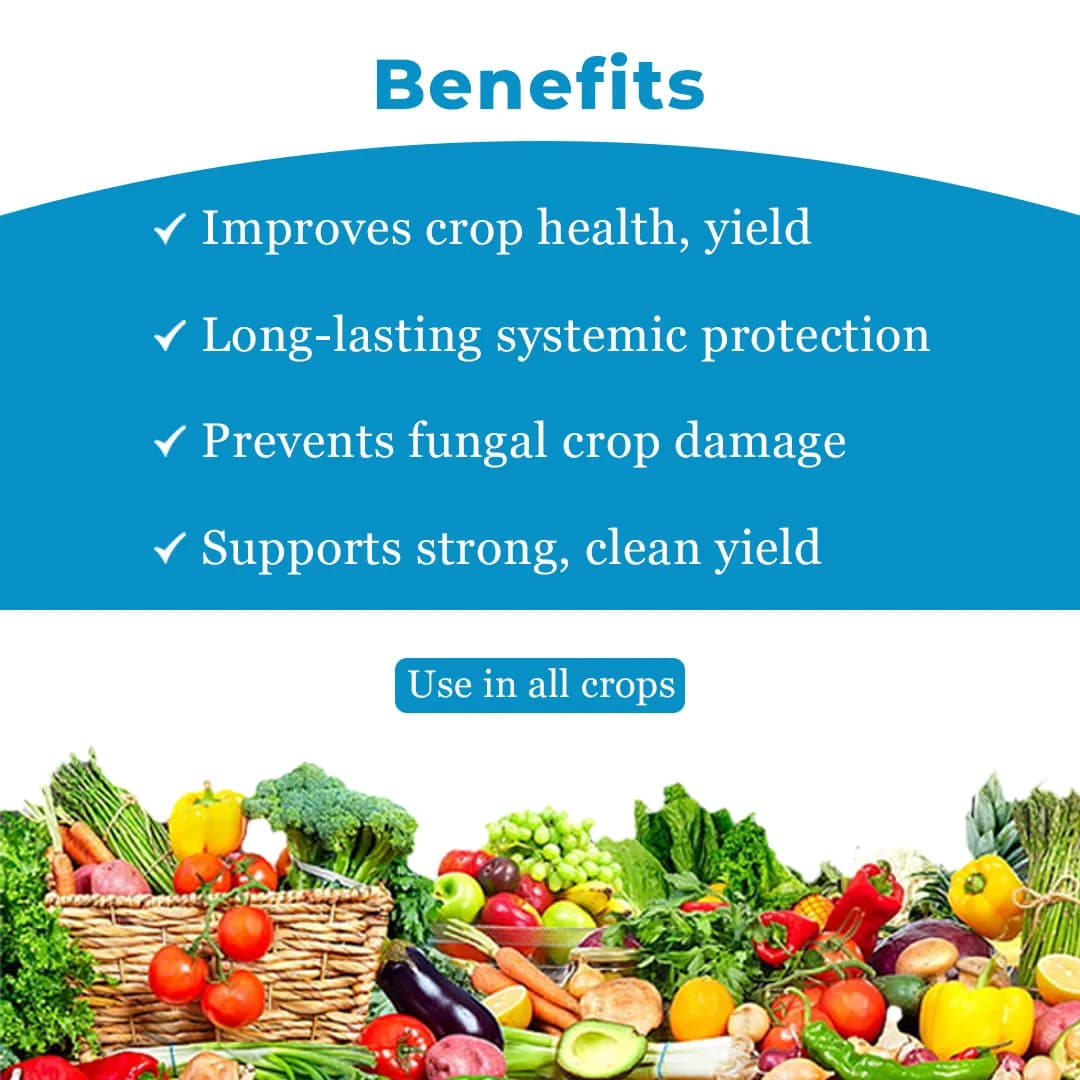 Adama Bumper Propiconazole 25% EC, A Broad Spectrum Systemic Foliar Fungicide. - Image 4