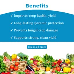 Adama Bumper Propiconazole 25% EC, A Broad Spectrum Systemic Foliar Fungicide. 4