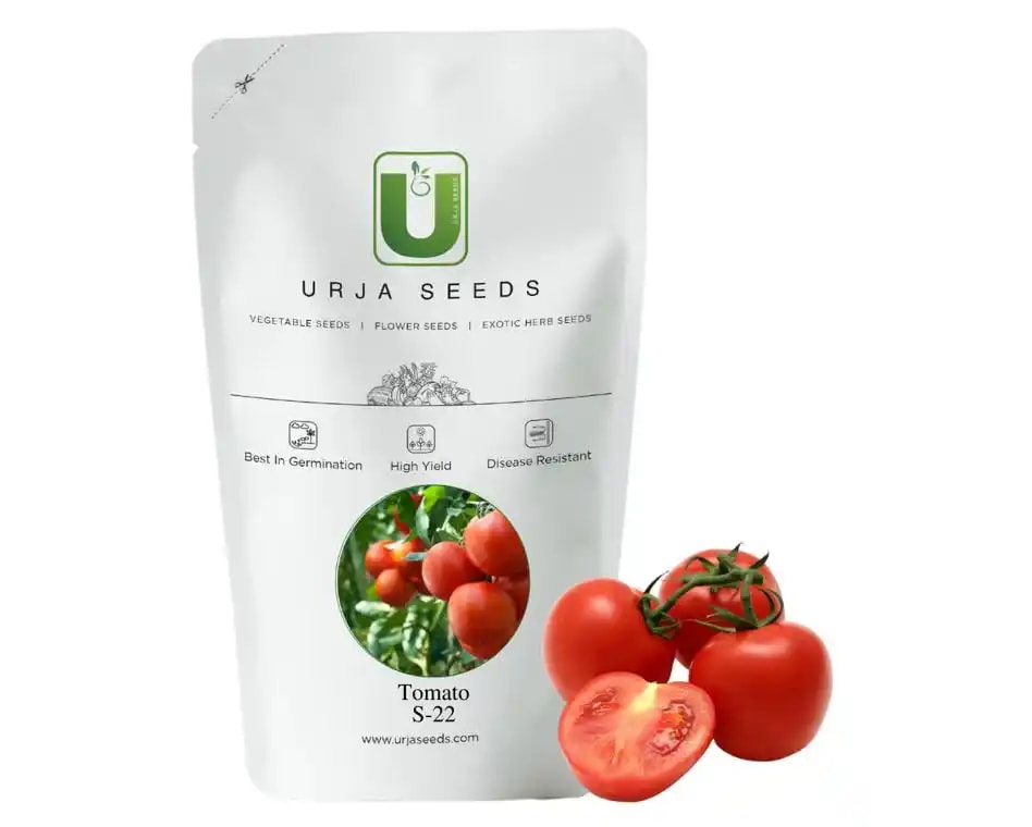 Urja S-22 Tomato Seeds, Round Red Color Fruit, Excellent Germination Quality