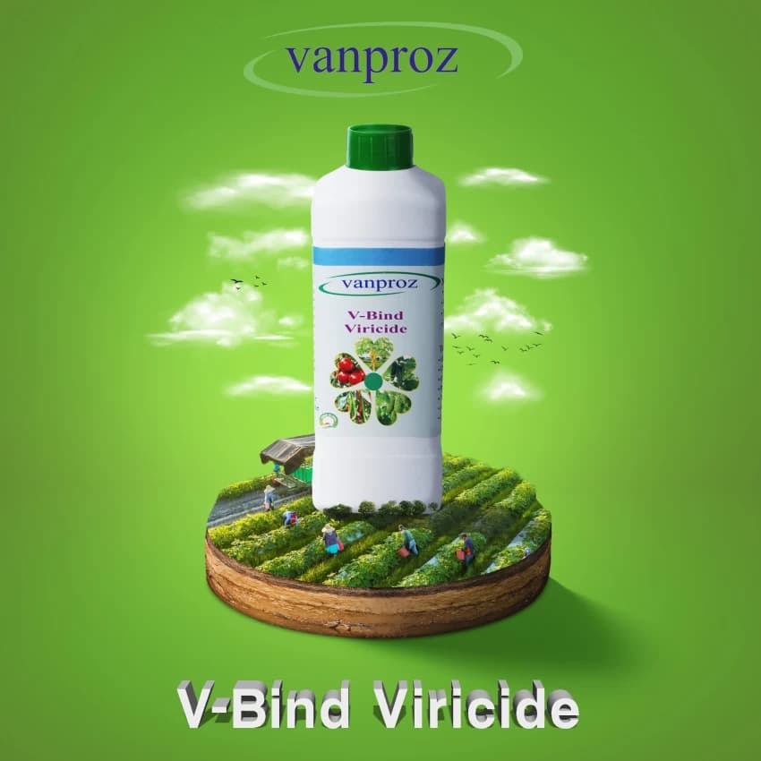 Viricide Combo Offer (V Bind 500 ml + Imuen 500 ml) For Controlling Papaya and Chilli Viral Disease, Leaf Curl, Mosaic Virus - Image 2