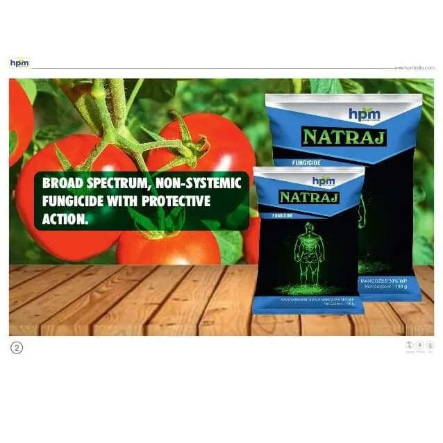 HPM Natraj Azoxystrobin 11.5% + Mancozeb 30% WP, Contact and Systemic Broad Spectrum Fungicide - Image 2