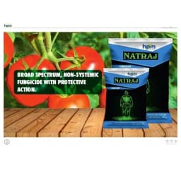 HPM Natraj Azoxystrobin 11.5% + Mancozeb 30% WP, Contact and Systemic Broad Spectrum Fungicide 2