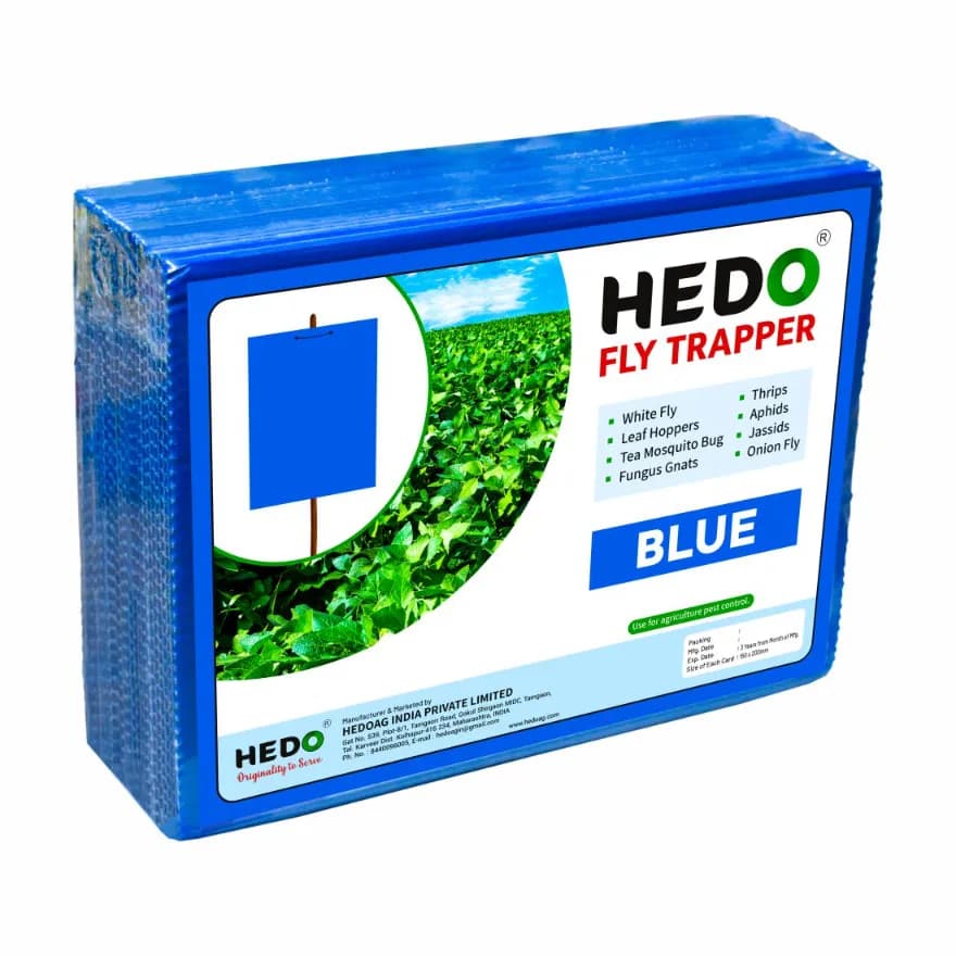 HEDO Eco A5 Size Blue Sticky Trap For Thrips, Aphids, Jassids & All Harmful Flying Insects, Best For Organic Vegetable And Fruits Farming Pest Control - Image 2