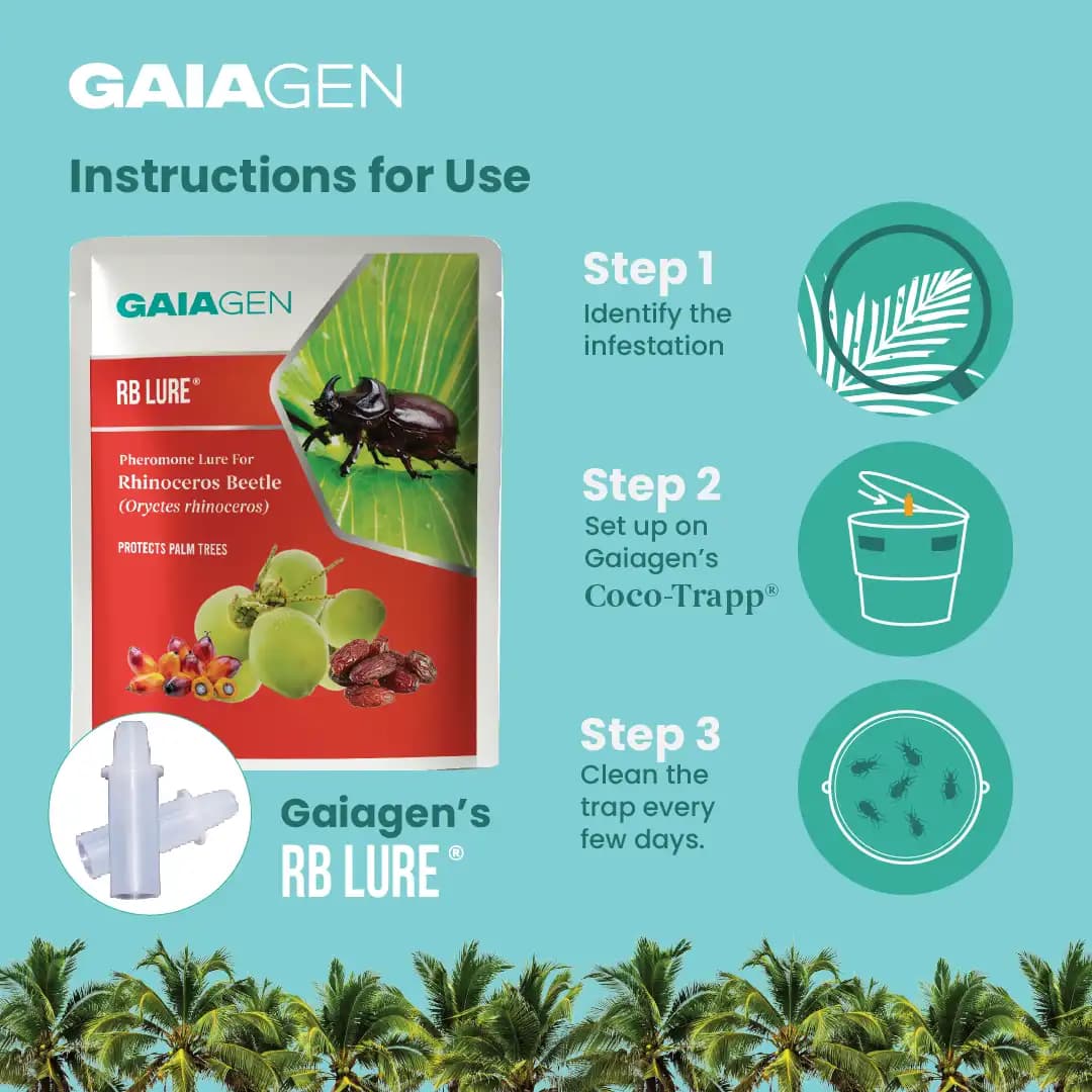 गाइएजेन आरबी ल्यूर, फेरोमोन ल्यूर राइनोसेरोस बीटल (ओरिक्टेस भृंग) के लिए बाहरी पौधों और कीट बकेट ट्रैप, आईएमओ प्रमाणित - Image 6