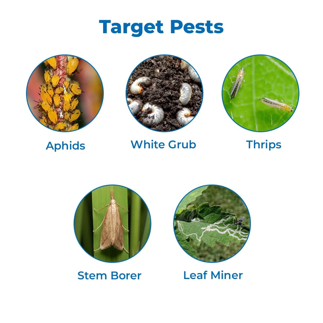 Cropdan 3G Insecticide - Carbofuran 3% CG - Image 4