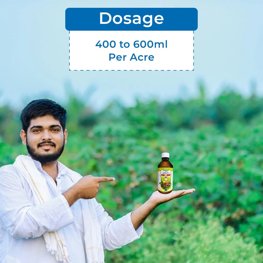 BACF Priorat 404 Insecticide - Profenofos 40% + Cypermethrin 4% EC - Image 5