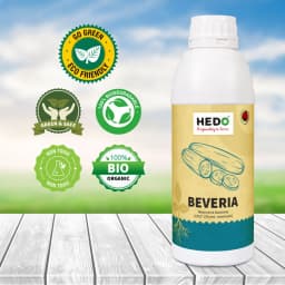 HEDO Beveria (Beauveria Bassiana) Liquid Bio Pesticide, Controls Sucking Pests, Grubs, Termites, And Bollworms Effectively 7