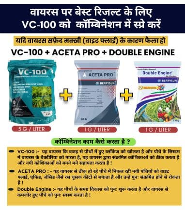 VC-100 Aceta Combo Green for 100 Ltr Spray For other than Chilli and Capsicum. Not Applicable with Fungicides. - Image 4