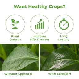 Spread-N Silicon-Based Organic Spreading Agent with Super Ability To Spread 3