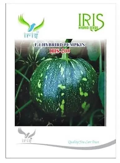 Iris Hybrid Vegetable Seeds F1 Hybrid IHS - 205 Pumpkin, Kaddoo Ke Beej, Kohanda Ke Beej, - Image 2