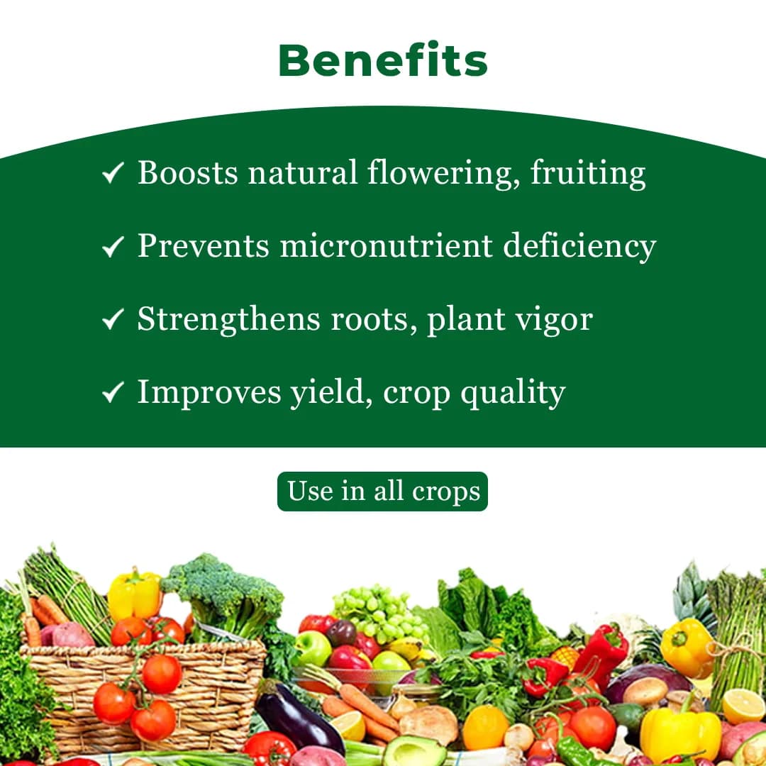 Bacf Nutrixon ZnB SC - Zinc Oxide 39.5% SC - Image 4