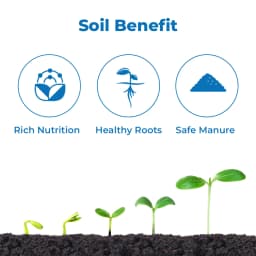 Gloryfert PROM, Phosphate Rich Organic Manure , Organic Granules ,Increase Activities Of Beneficial Micro Organisms In The Soil 3
