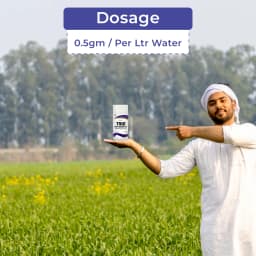 टाइटन एग्रीटेक थायमिथोक्साम 25% डब्ल्यूजी, मच्छर और अन्य मक्खियों के लिए और इल्ली नियंत्रित करने के लिए प्रभावी कीटनाशक, कृषि के लिए 5