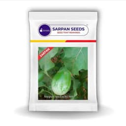 Sarpan Kudachi 501 Hybrid Brinjal Seeds, Nonspiny and Green Striped, Oblong Fruit 1