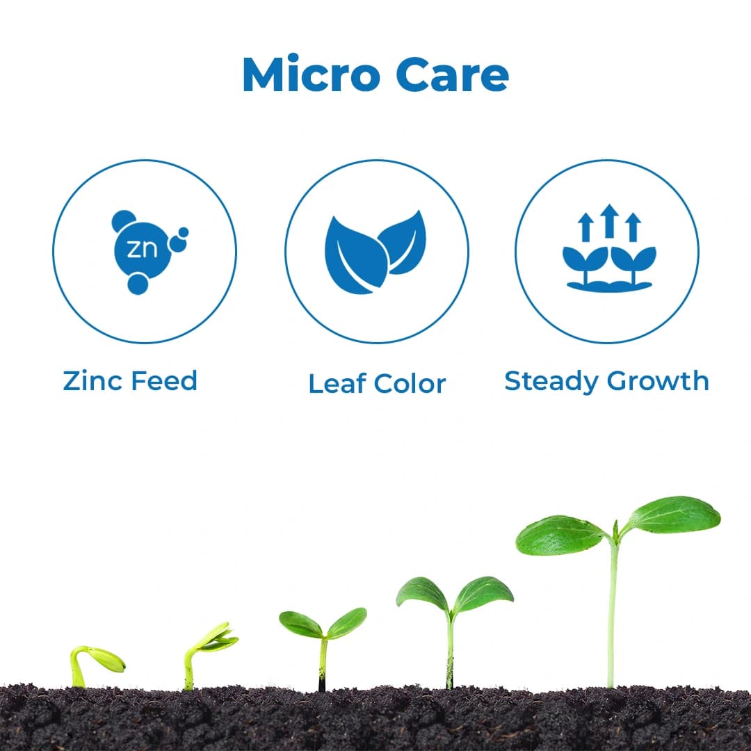 Jivanu Zinc Solubilizing Bacterial BioFertilizer (ZSB) , For All Plants and Home Garden Ecofriendly - Image 3